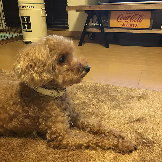 mocoさんの実例写真