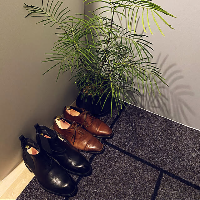 Kaijunさんの実例写真