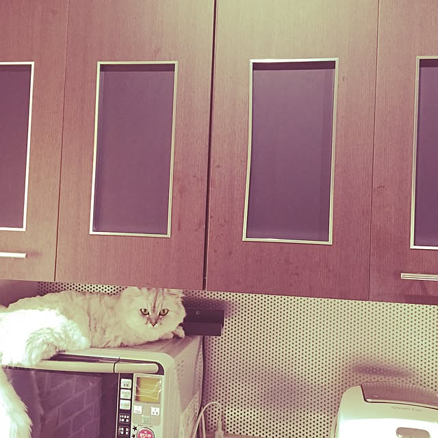 kayokoさんの実例写真