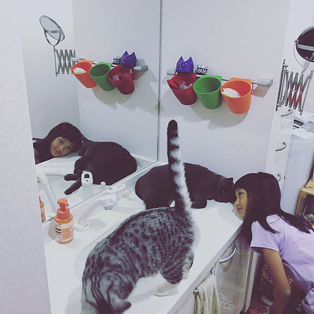 Shojiさんの実例写真