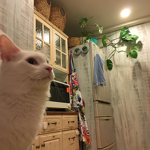 Lionaさんの実例写真