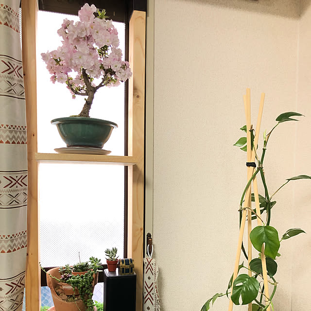 nobさんの実例写真