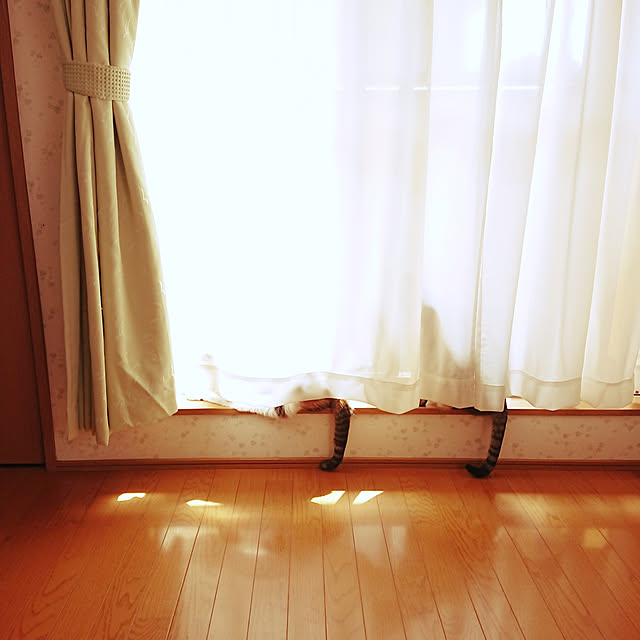 nachiさんの実例写真