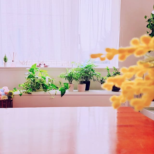 surviveさんの実例写真