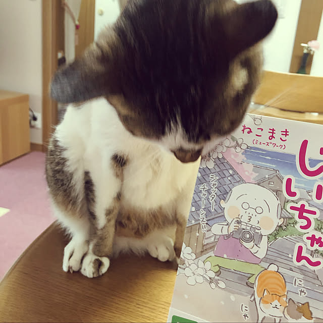 haruminさんの実例写真