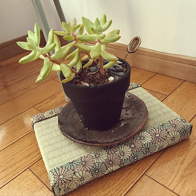 t_n.homeさんの実例写真