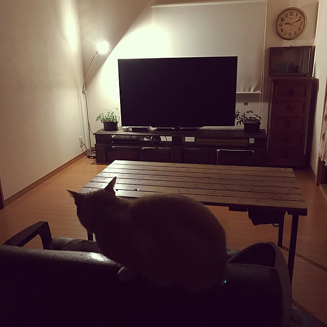mikan161さんの実例写真