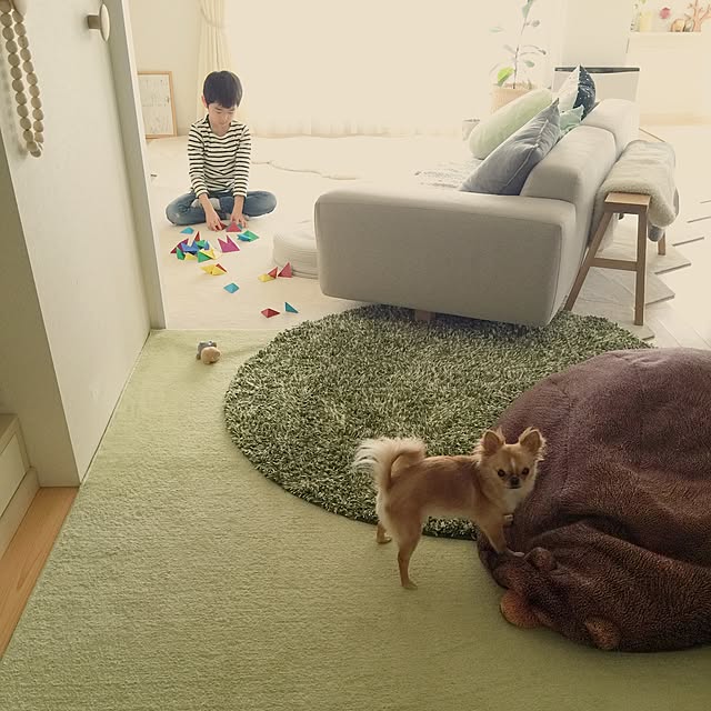 haruhinaさんの実例写真