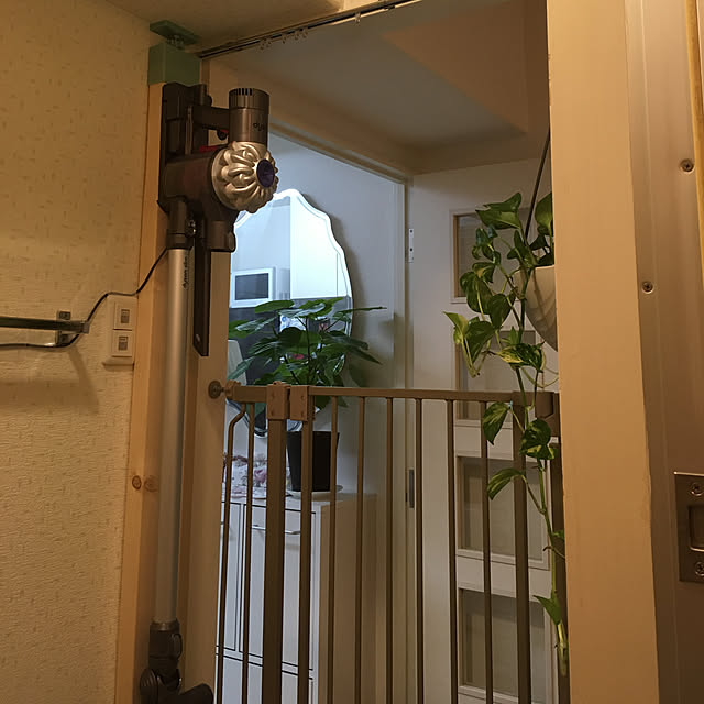 fionaさんの実例写真