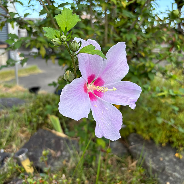 akesanさんの実例写真