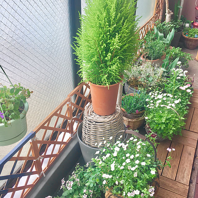 naokoさんの部屋