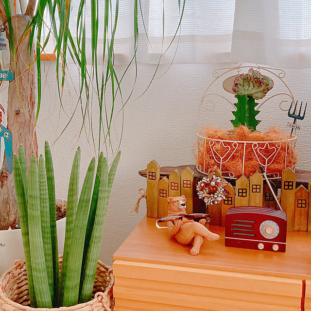 Hanakaさんの部屋