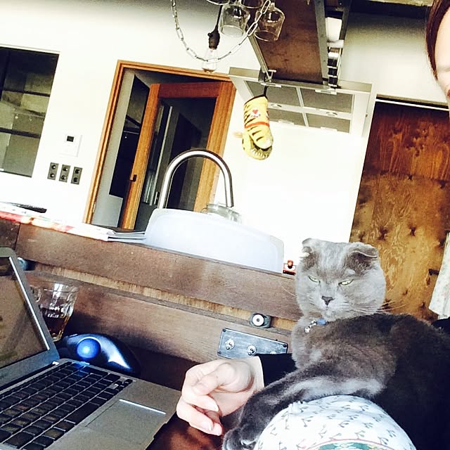 torinokoさんの実例写真