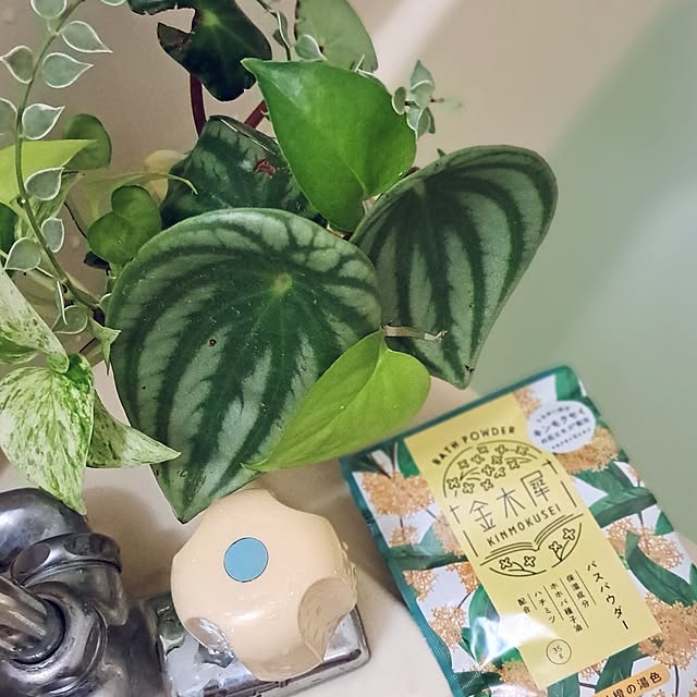 noaさんの部屋