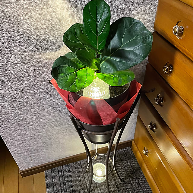 ronronさんの実例写真