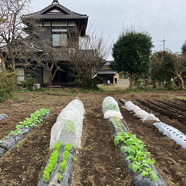 Takenoyaさんの実例写真