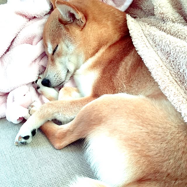 Eriさんの実例写真