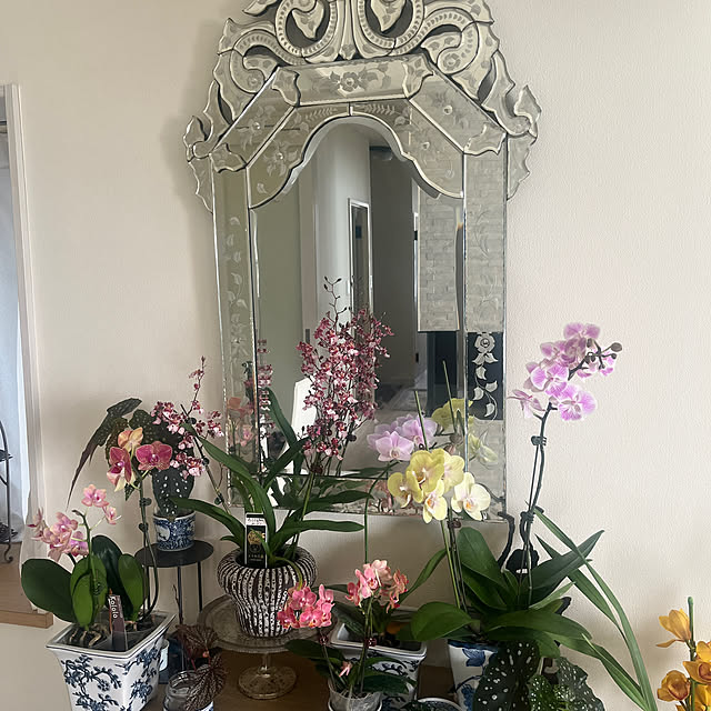 yokko_pawさんの実例写真