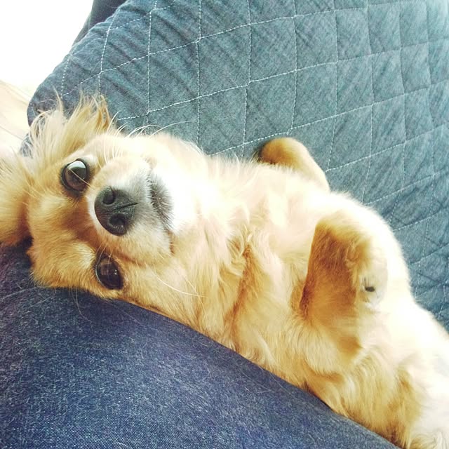 NATTUさんの実例写真