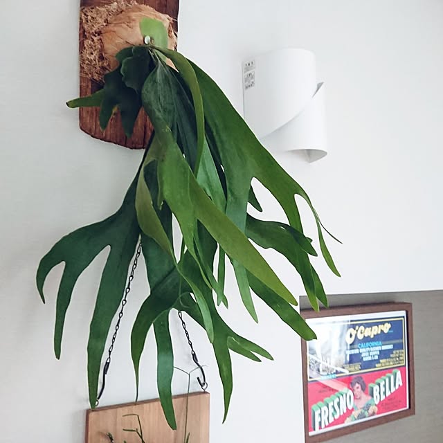 ot-gardenさんの部屋