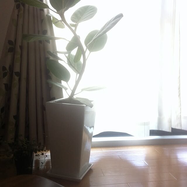 Asamiさんの実例写真