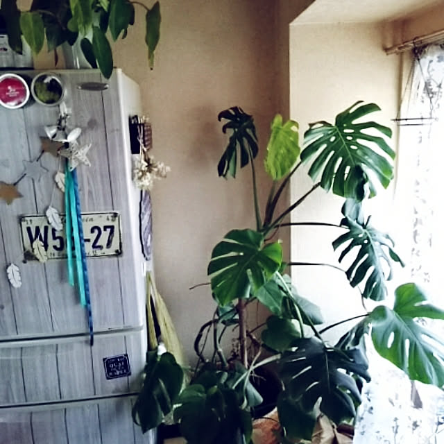 kotorinさんの実例写真