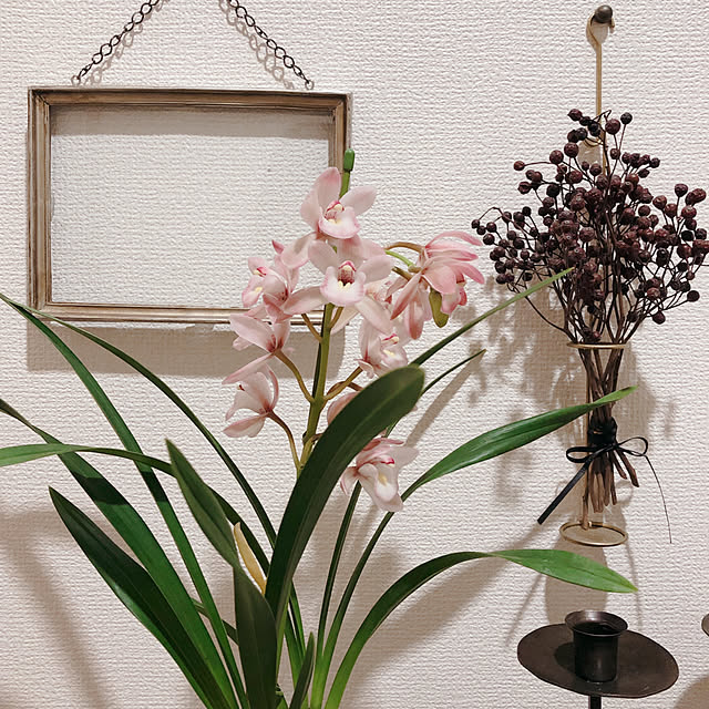 coraruさんの実例写真