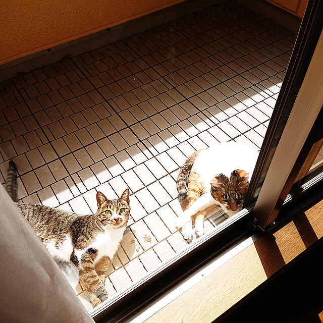 nachiさんの実例写真