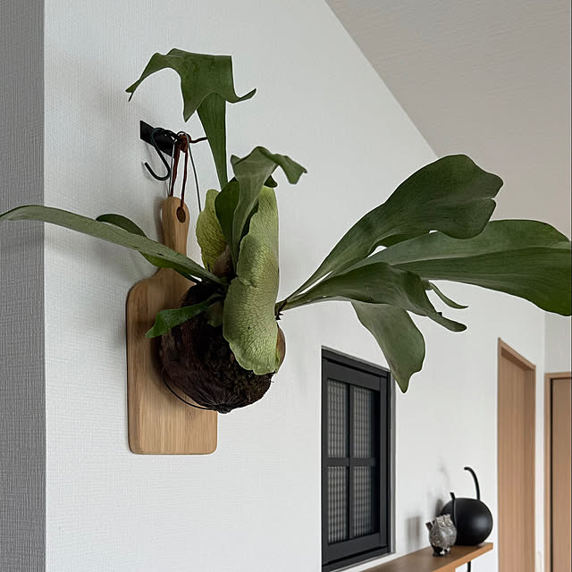 amさんの実例写真