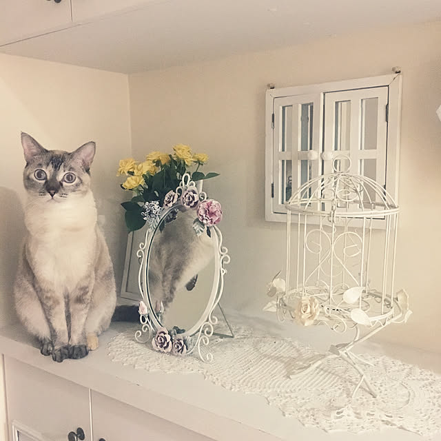noelさんの実例写真