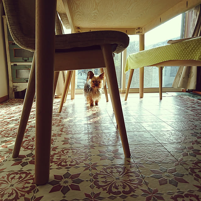 akiさんの実例写真