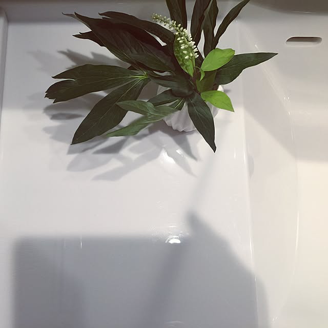 pandaxxさんの実例写真