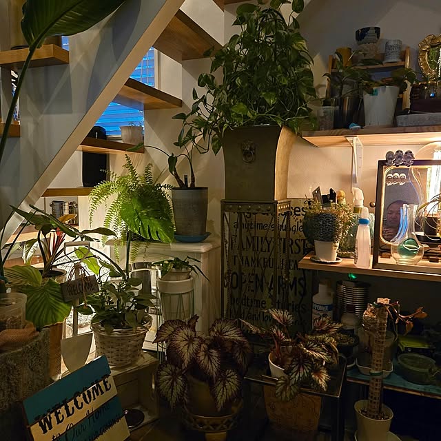 nonbiri_house_さんの部屋