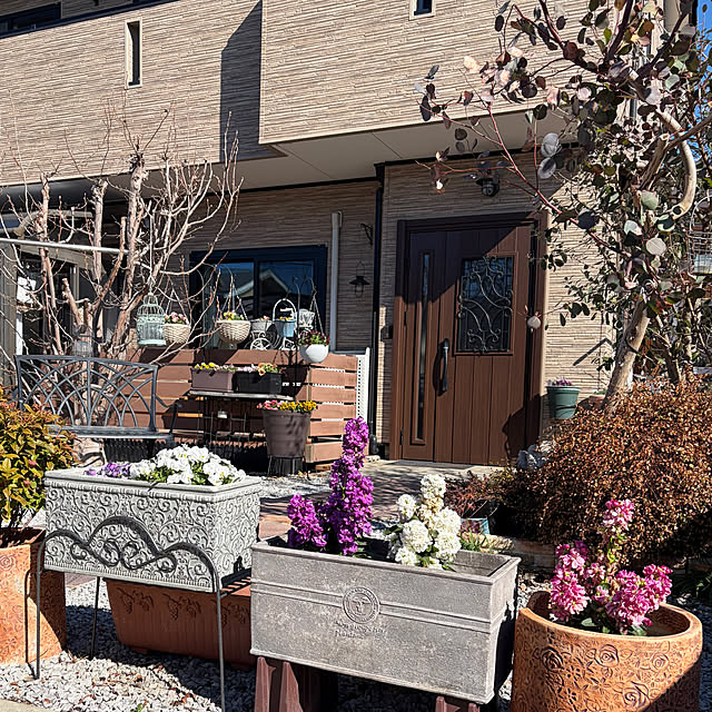 ronronさんの部屋