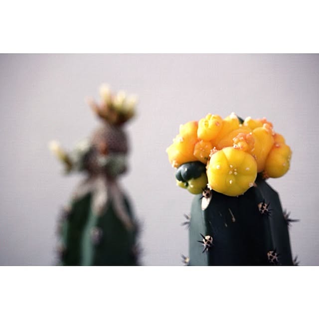 Atsushiさんの実例写真