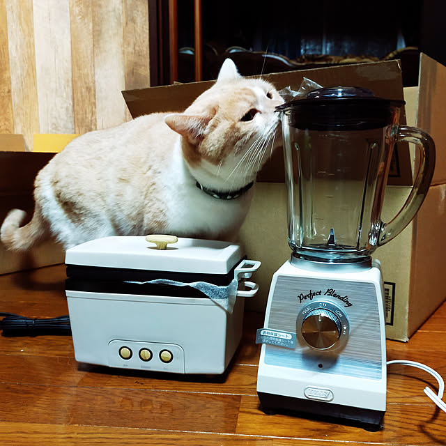 kobakissaさんの実例写真