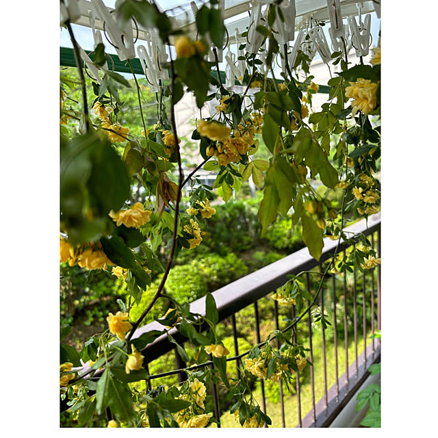 syutmmさんの部屋