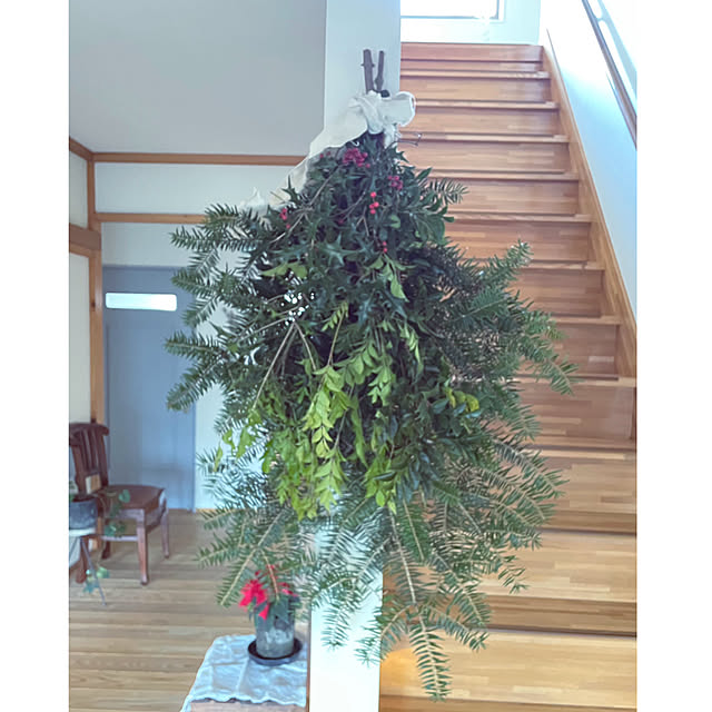 marucoさんの部屋