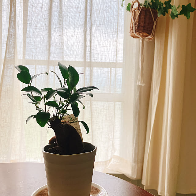 Hicchomuさんの部屋