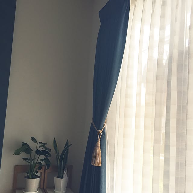 Kotawasaさんの実例写真