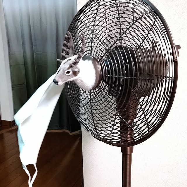 nippopoさんの実例写真