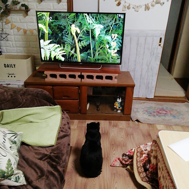 Tomopさんの実例写真