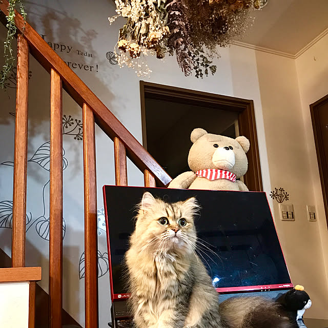 butachanさんの実例写真