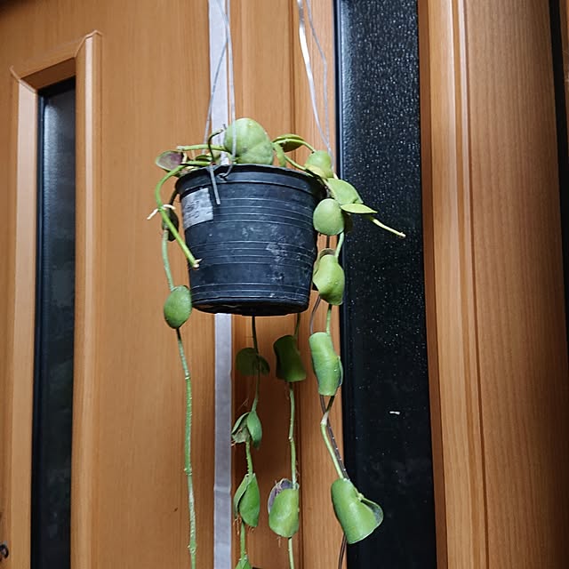 tikuwaさんの部屋