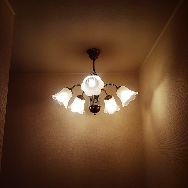 love_kurtcobainさんの実例写真