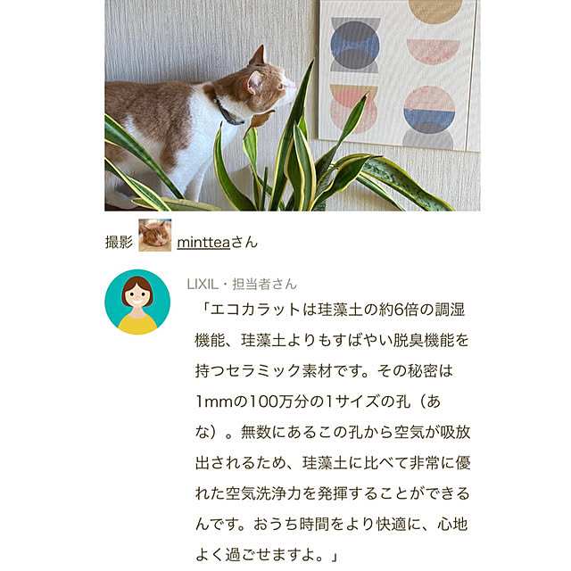 mintteaさんの部屋