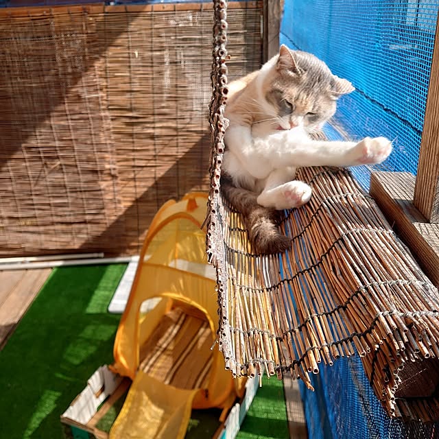 fukuさんの実例写真