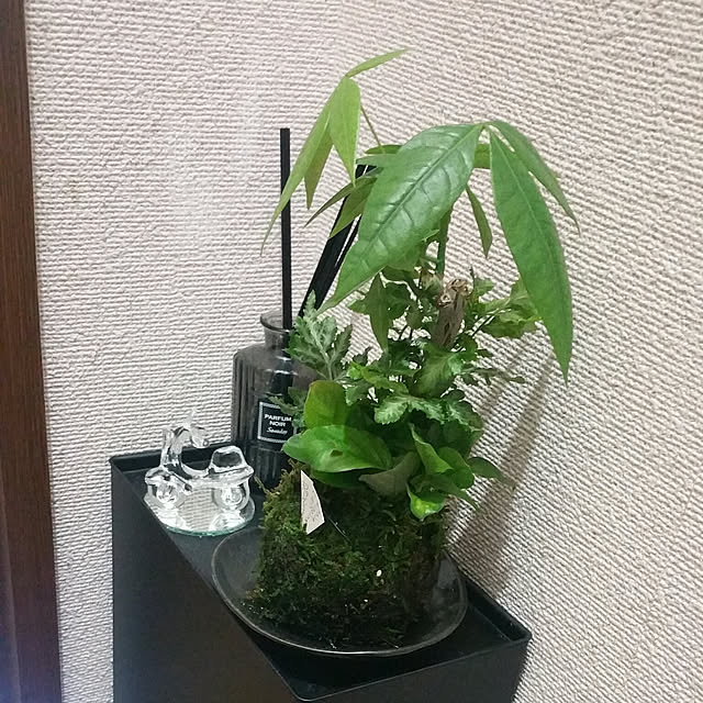 バス/トイレのインテリア実例 - 2019-01-15 20:24:55