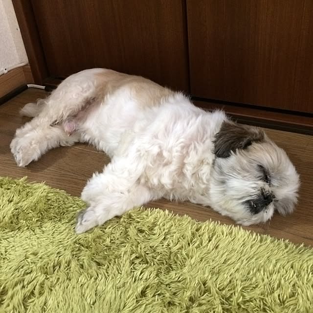 lenkaさんの実例写真