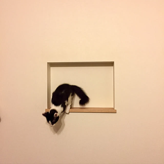 butachanさんの実例写真